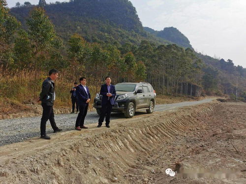 抢抓重大项目建设 助力乡村产业振兴 市委常委 县委书记李振品深入安东乡调研